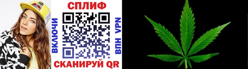 Вейп ТГК Лесозаводск