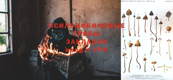 кокс Нефтекумск