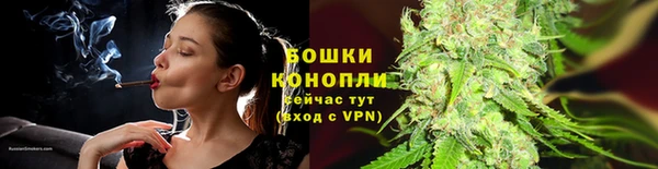 мескалин Новодвинск