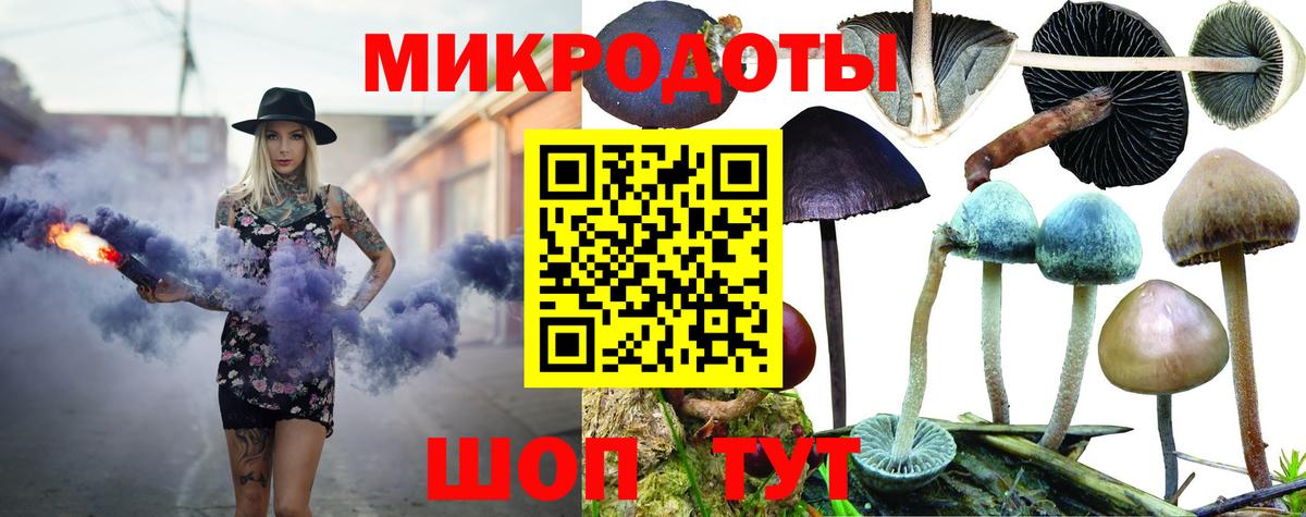 где купить   Псилоцибиновые грибы прущие грибы  Галлюциногенные грибы прущие грибы  Вход с VPN  Лесозаводск 